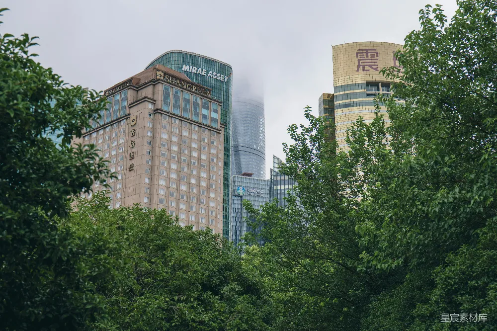 高清摄影 城市景观 高楼大厦 绿色植物 都市风光 自然与现代 城市与自然的对话