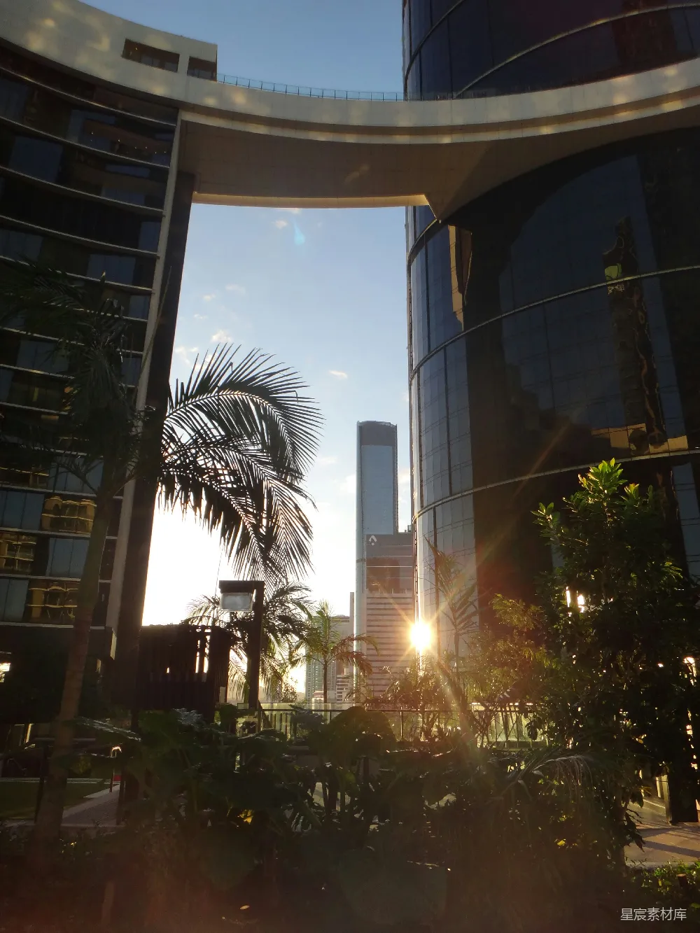 高清摄影 城市风光 建筑 自然 阳光 现代 城市中的阳光与绿植
