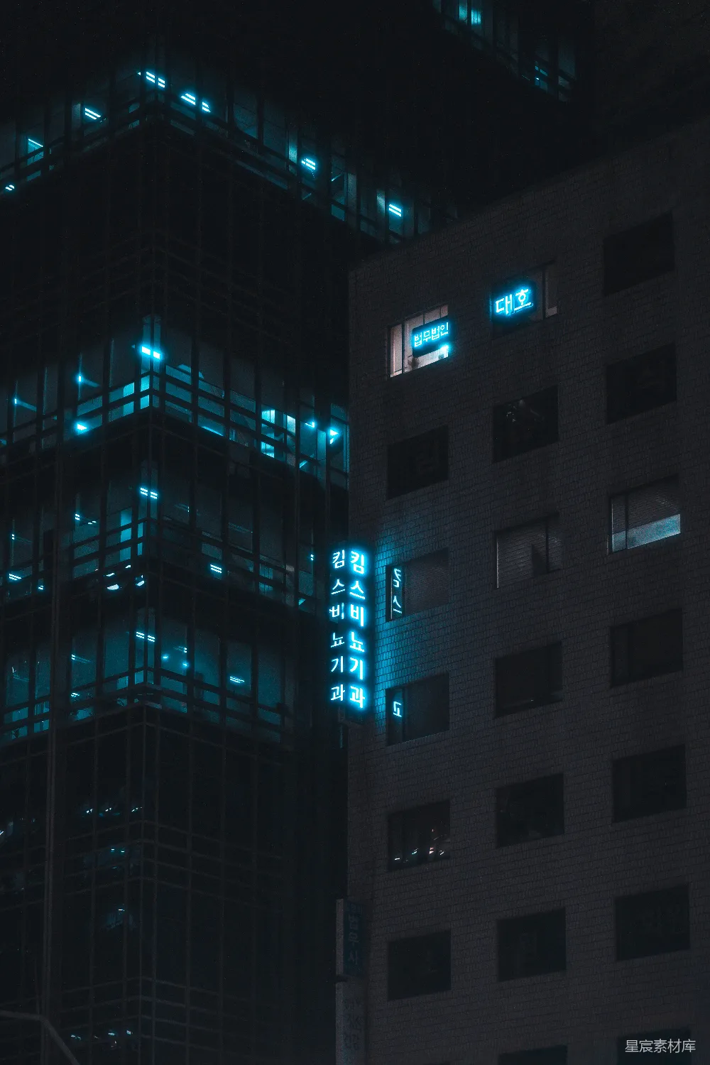 高清摄影 城市 霓虹灯 夜晚 建筑 都市 霓虹夜景中的城市建筑