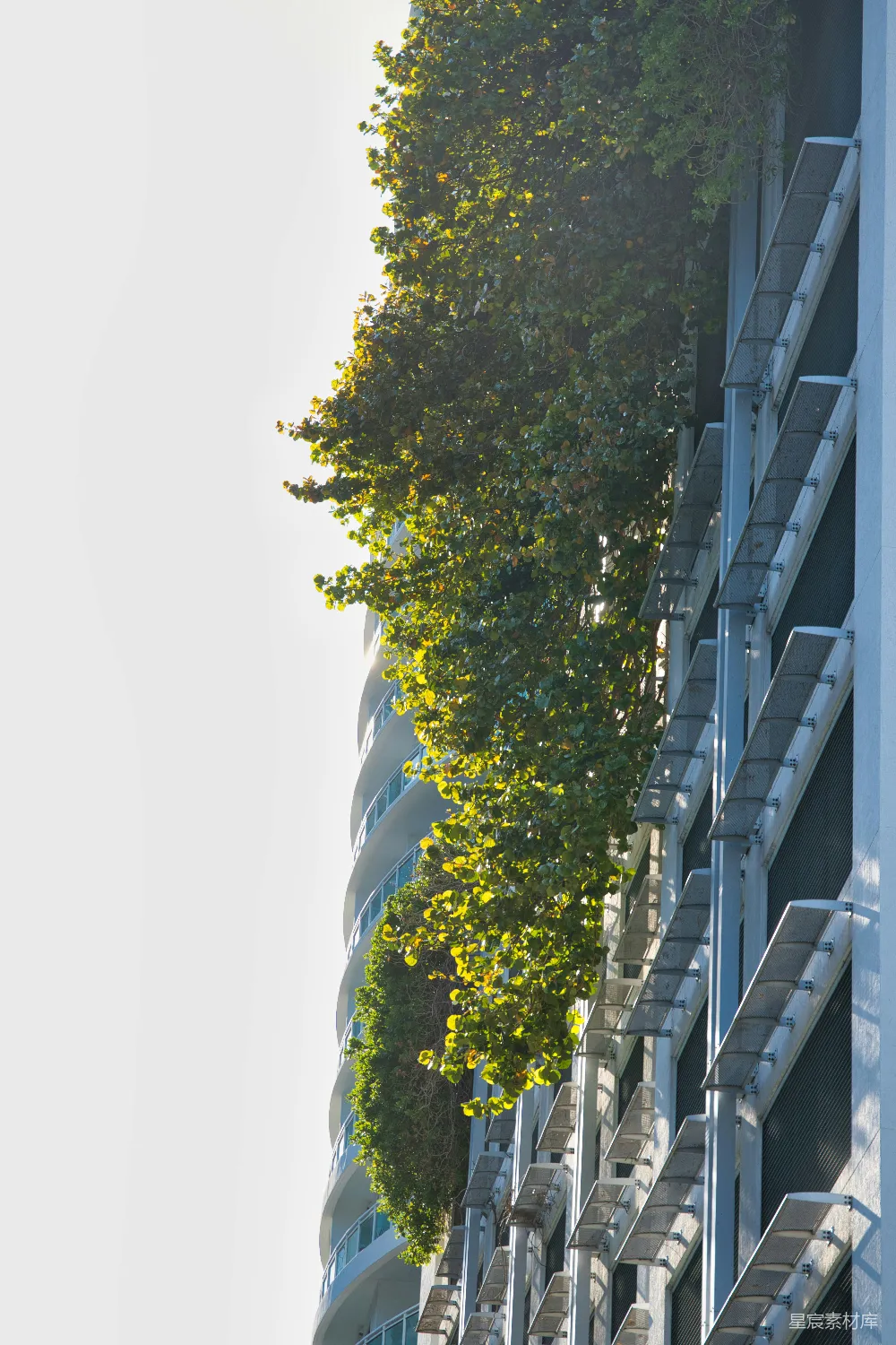 高清摄影 现代建筑 自然景观 城市绿化 建筑美学 生态城市 现代建筑与自然和谐共生