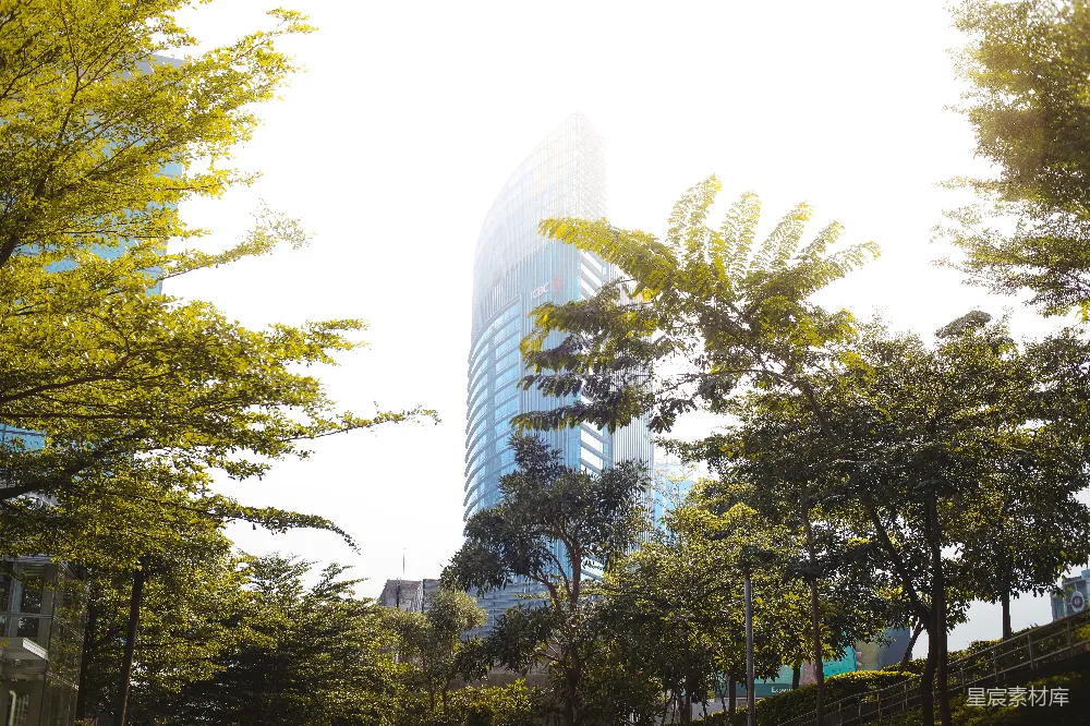 高清摄影 城市 自然 摩天大楼 城市景观 现代 城市绿意与摩天大楼