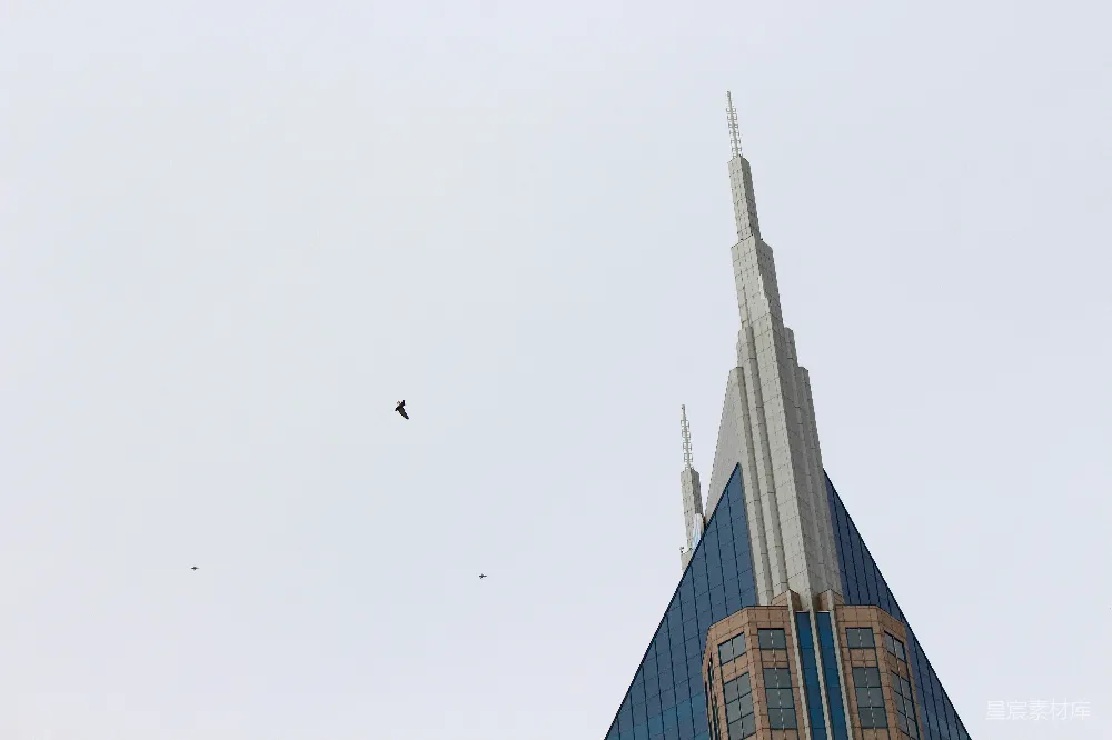 高清摄影 城市景观 建筑艺术 天空视角 自然与城市 都市风光 现代建筑与空中飞鸟