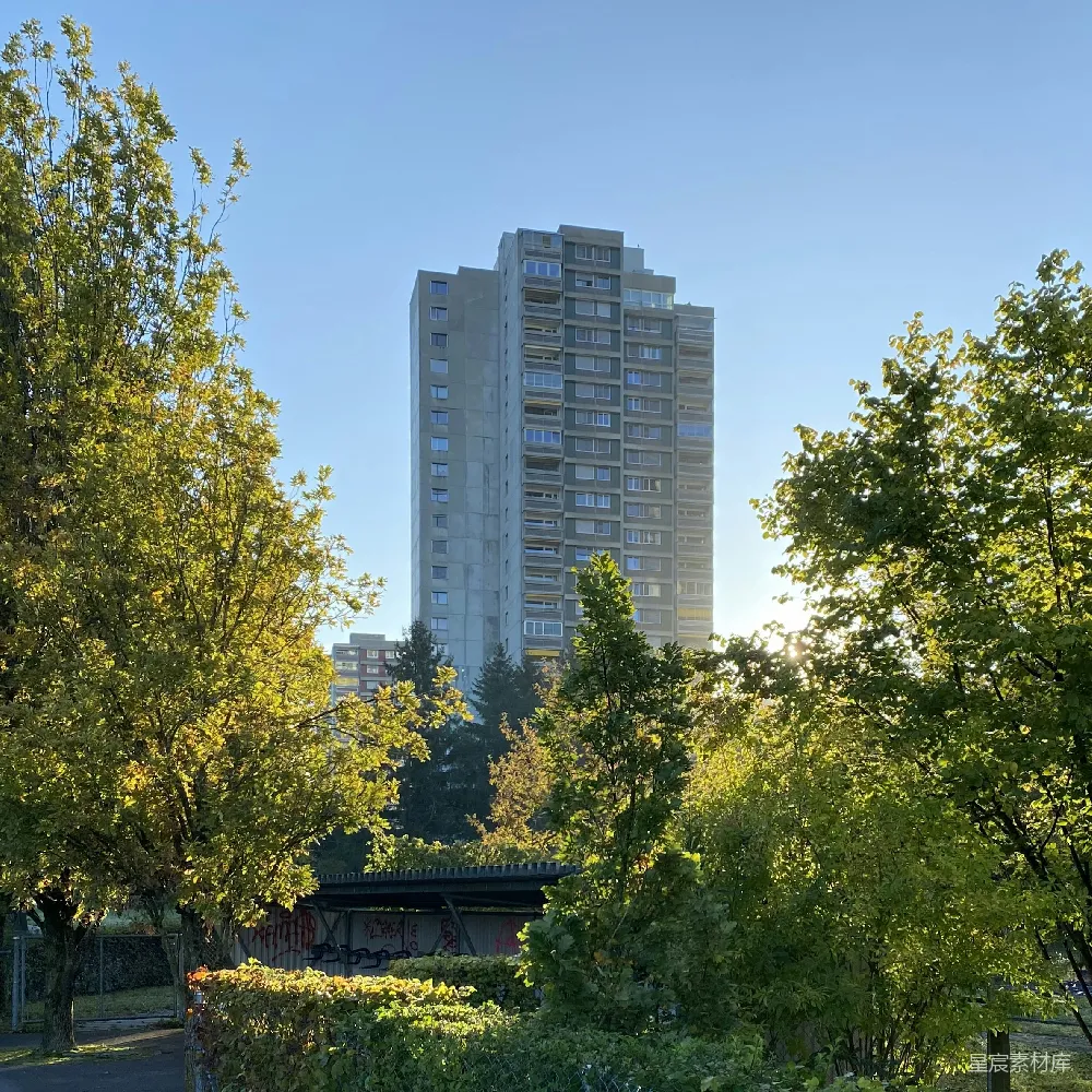 高清摄影 城市风光 自然与建筑 清晨 现代建筑 城市生活 阳光下的高楼与绿树