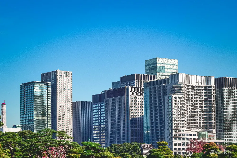高清摄影 城市天际线 现代建筑 自然景观 城市风光 都市生活 现代都市与自然的和谐共存