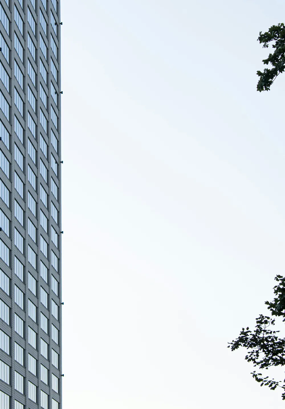 高清摄影 建筑 城市 自然 对比 现代 高楼与树梢的对比