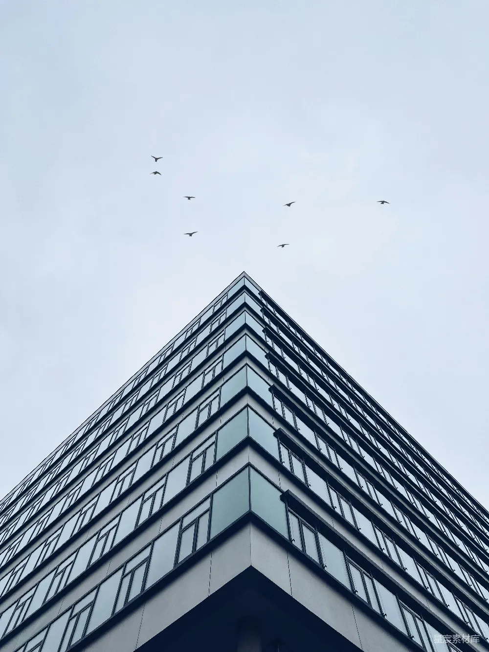 高清摄影 建筑 城市 自然 现代 风景 高楼与飞鸟