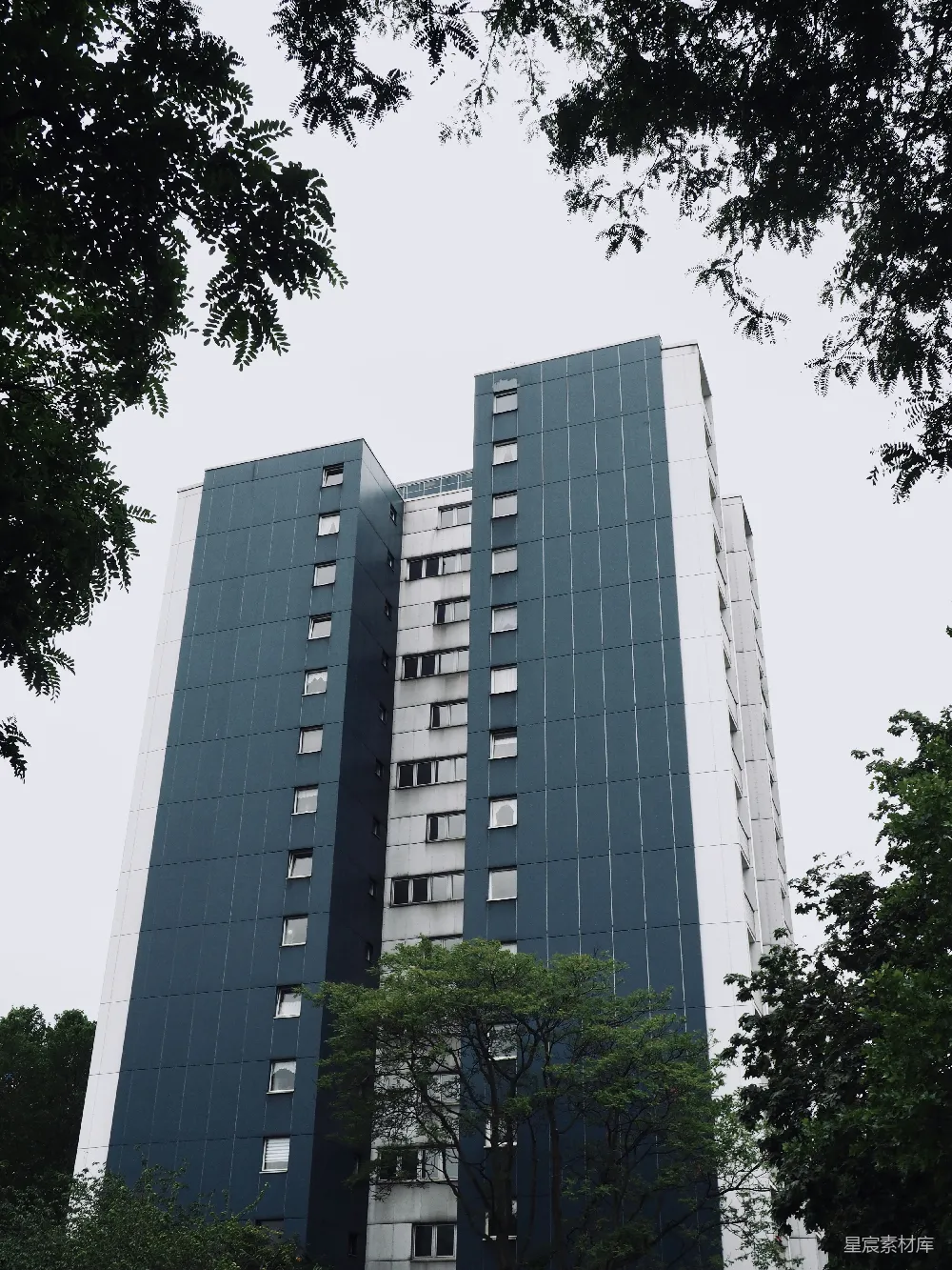 高清摄影 建筑 现代风格 城市景观 自然元素 都市生活 现代建筑与自然交织