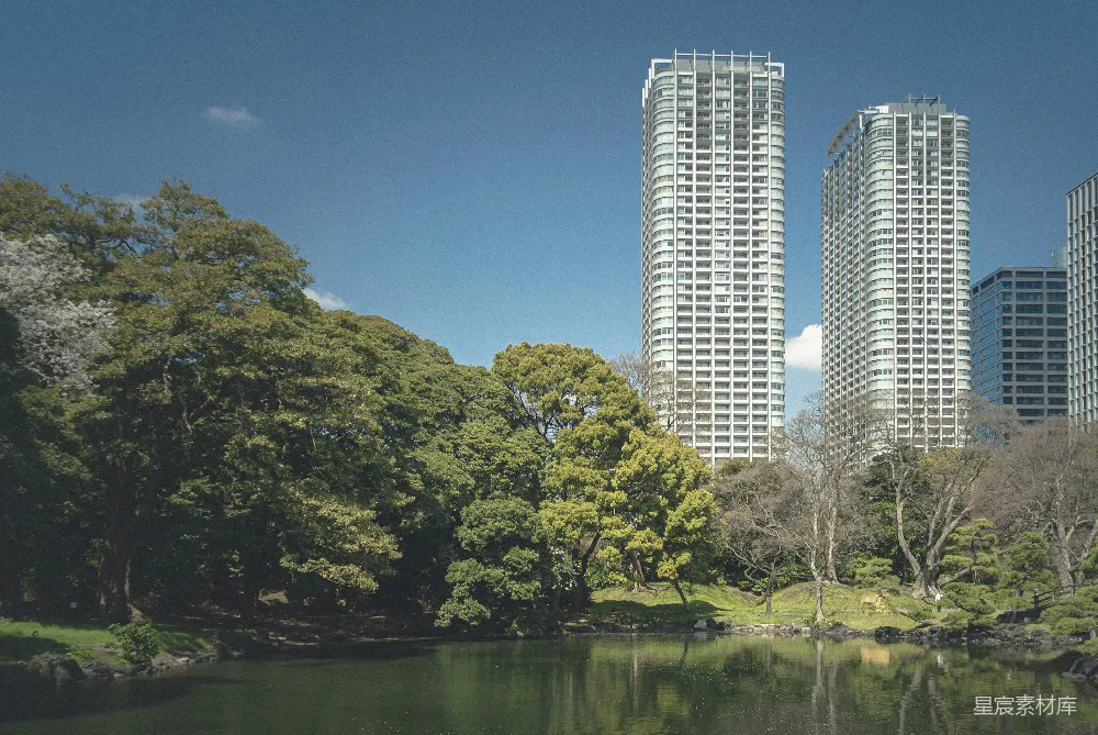 高清摄影 自然景观 城市天际线 公园 现代建筑 都市绿洲 城市与自然的和谐共生