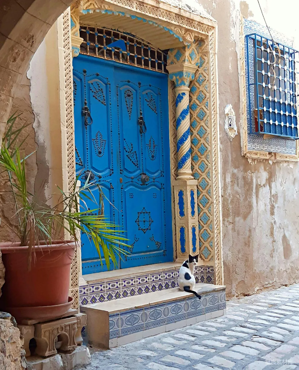 高清摄影 建筑 装饰 猫 复古 旅行 蓝色门与悠闲的猫