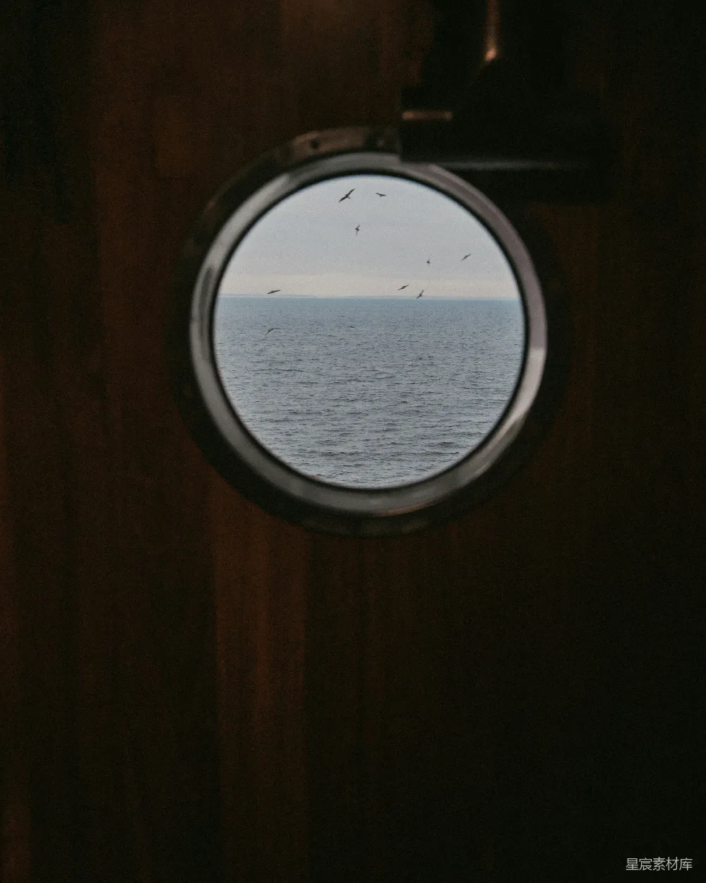 高清摄影 海景 旅行 宁静 海鸟 圆形舷窗 船舱的圆形舷窗