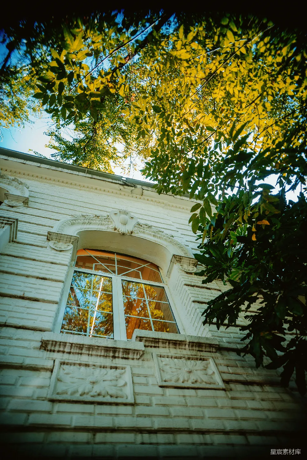 高清摄影 建筑 秋景 自然 复古 建筑细节 秋日树影下的建筑