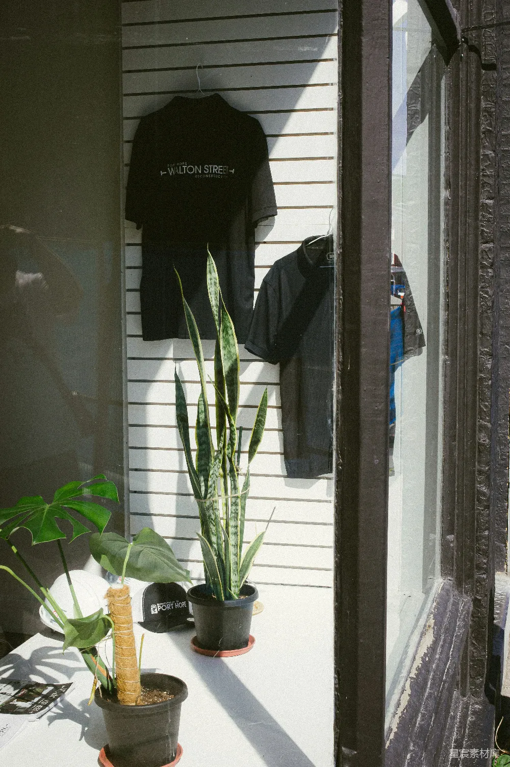 高清摄影 橱窗 植物 服装 自然光线 城市生活 阳光下的店铺橱窗