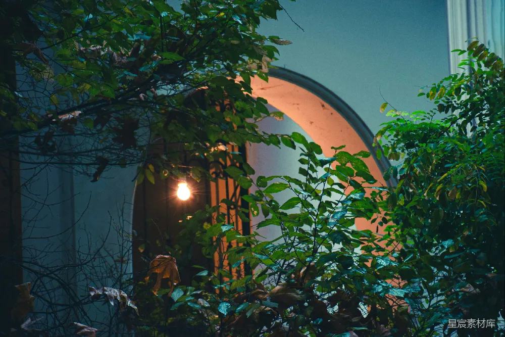 高清摄影 夜晚 植物 灯光 温馨 建筑 夜幕下的温馨光芒