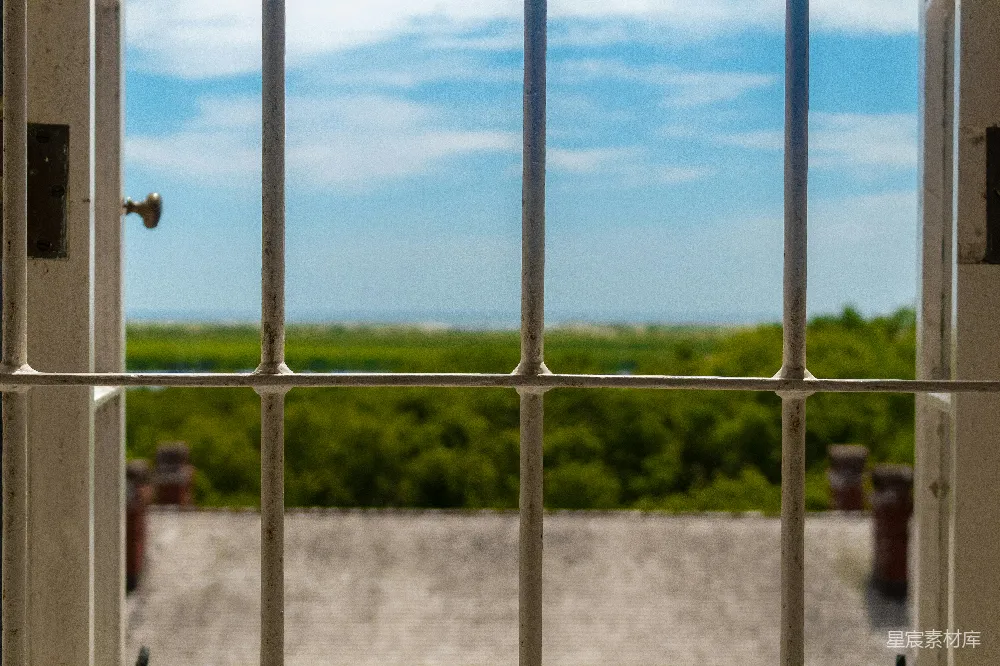 高清摄影 窗户 铁栅栏 蓝天 绿树 户外 窗外的风景