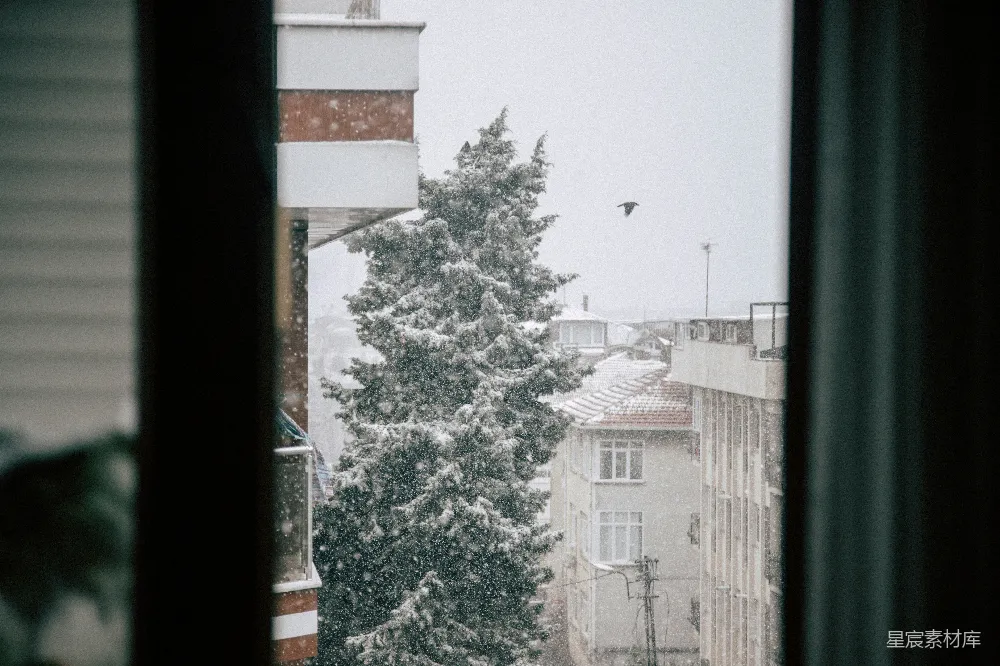 高清摄影 雪景 城市 窗户 冬日 自然 窗外的雪景