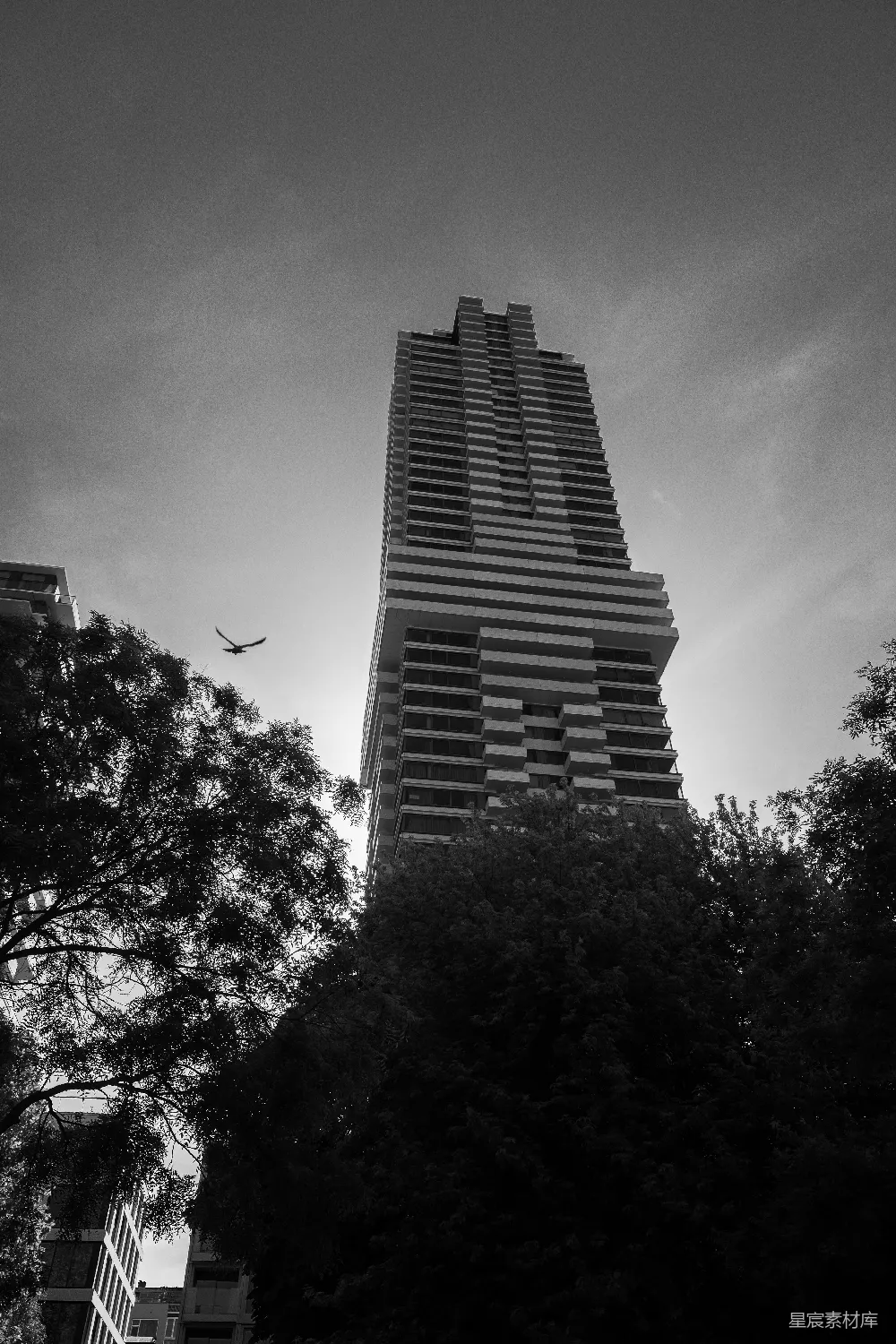 高清摄影 黑白 城市 建筑 自然 对比 高楼与自然的对比