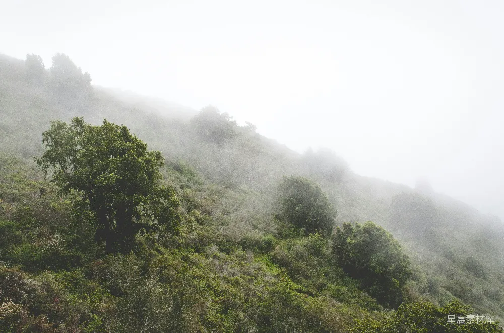 高清摄影 山林 雾气 自然 宁静 户外 雾蒙蒙的山林