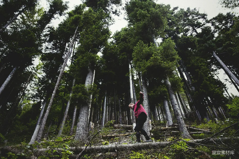 高清摄影 自然 户外 运动 活力 探险 森林中的舞者