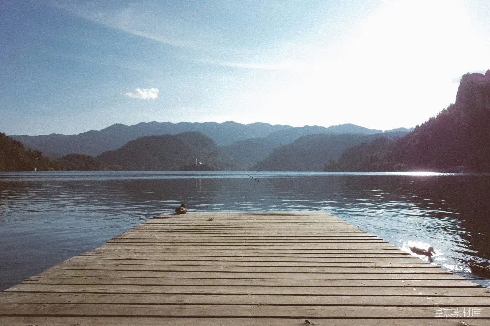 高清摄影 自然风光 湖景 平静 木桥 户外 湖畔木桥上的宁静时光
