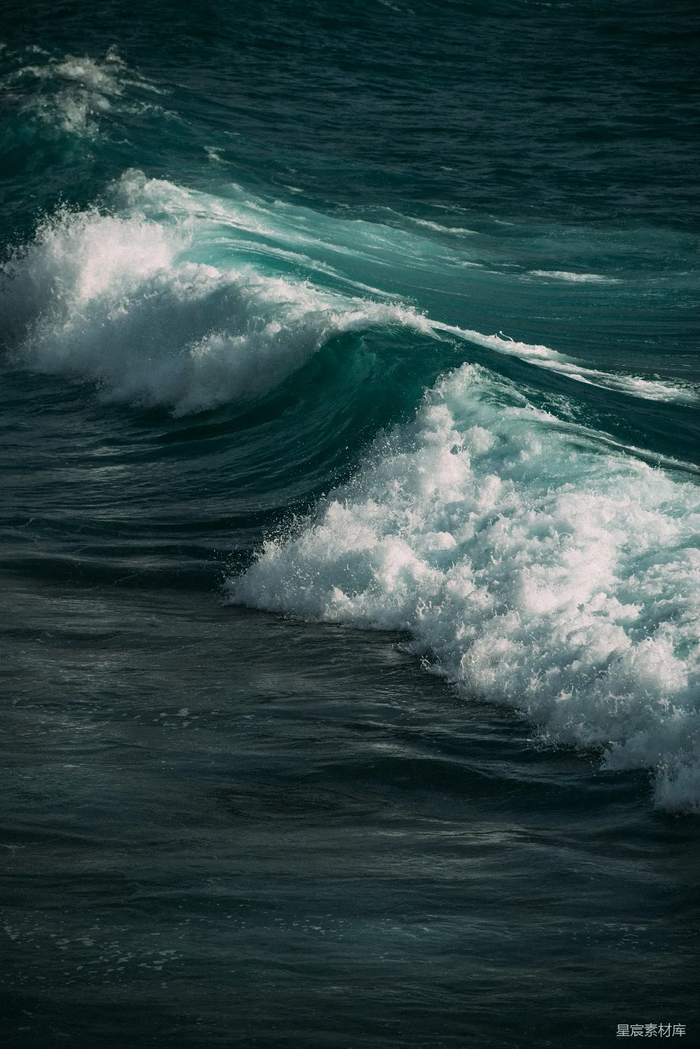 高清摄影 海浪 自然 力量 动态 海洋 海浪的激情