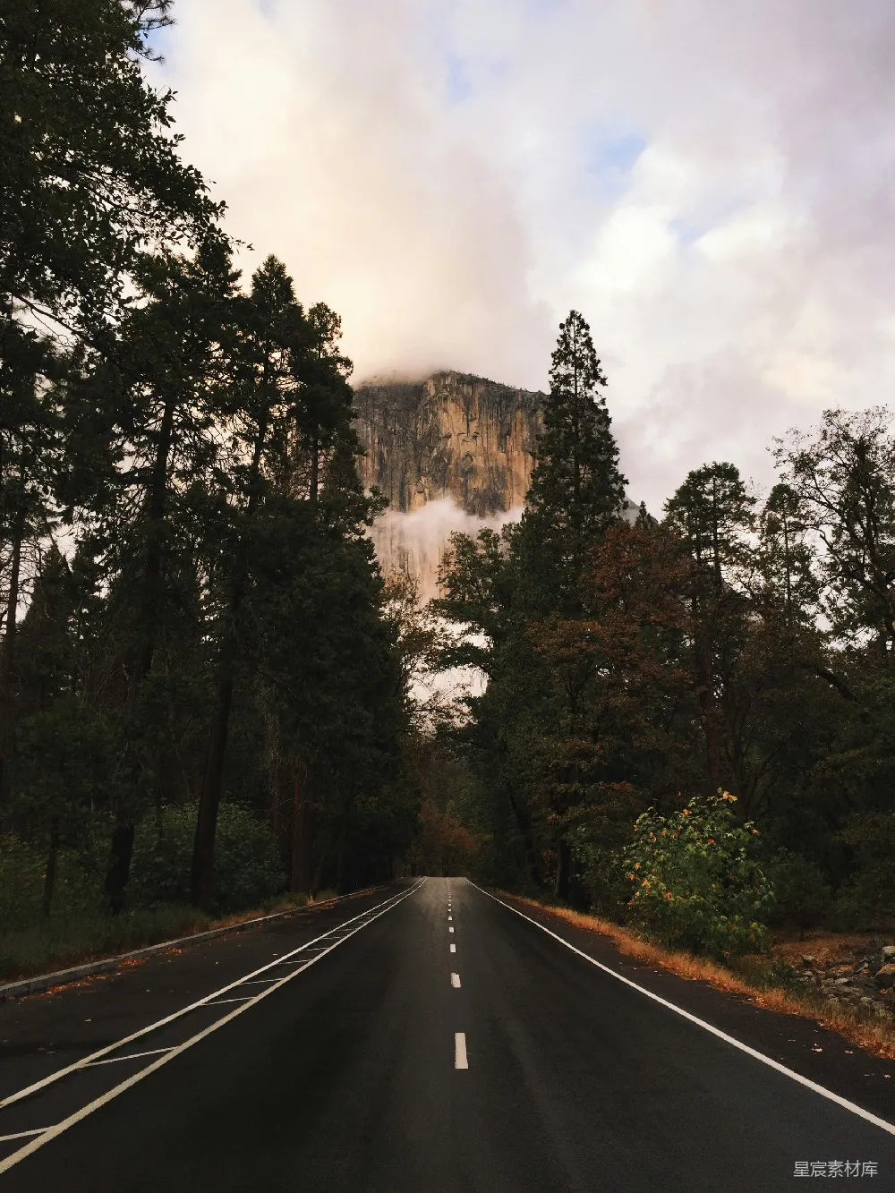 高清摄影 自然风光 森林 山脉 公路 旅行 云雾缭绕的山路