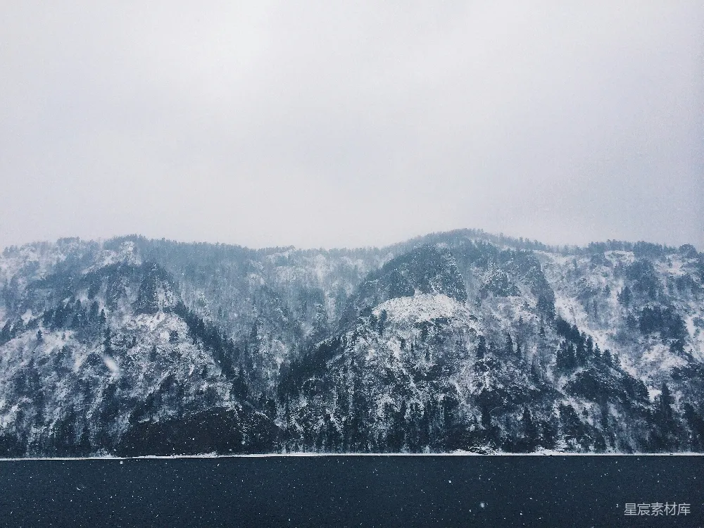 高清摄影 雪景 山林 冬季 宁静 自然 冬日雪景中的静谧山林