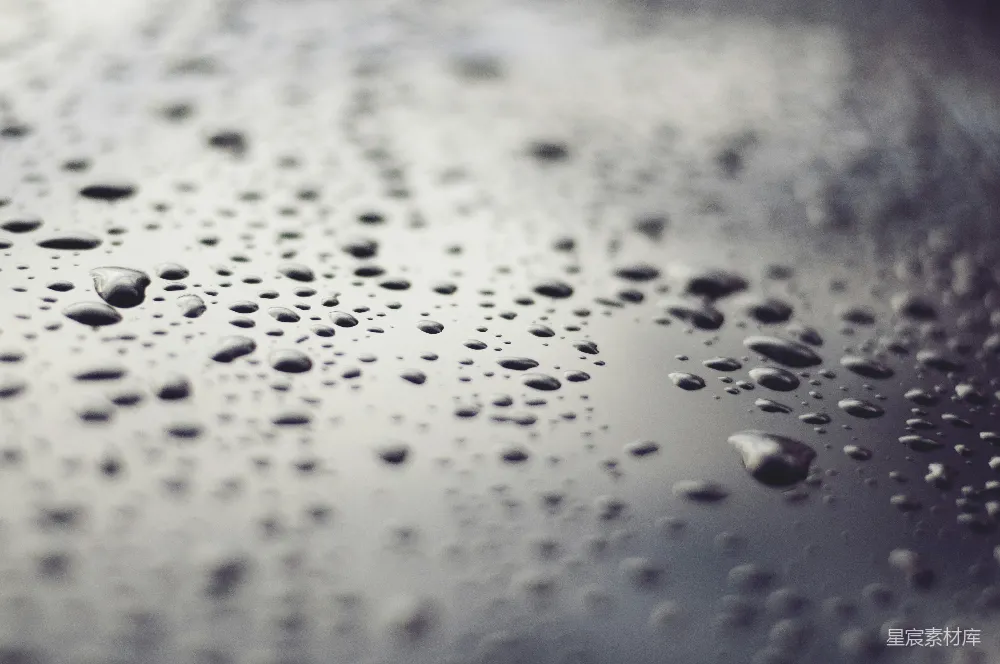 高清摄影 雨滴 自然 细腻 纹理 自然美 雨滴的静谧世界