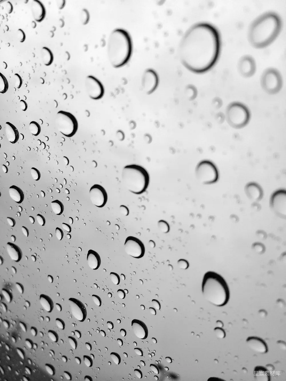 高清摄影 雨滴 黑白 自然 抽象 细腻 雨滴的黑白世界