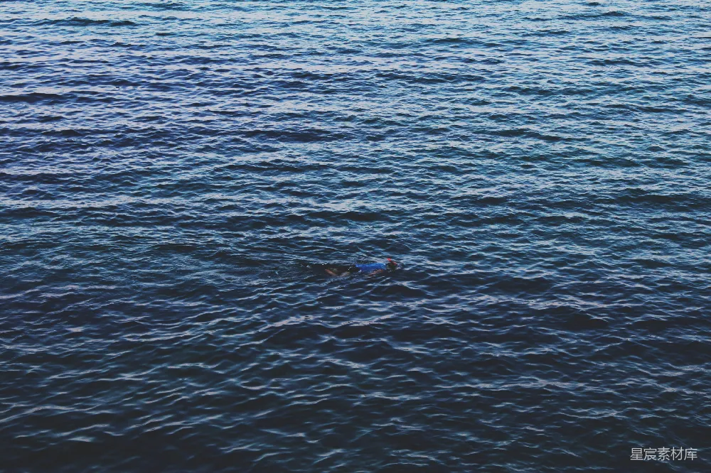 高清摄影 潜水 海洋 浮潜 休闲 户外 海上的浮潜者