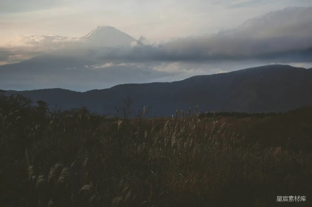 高清摄影 自然风光 日本 晨雾 草地 旅行 富士山下的晨雾与草地