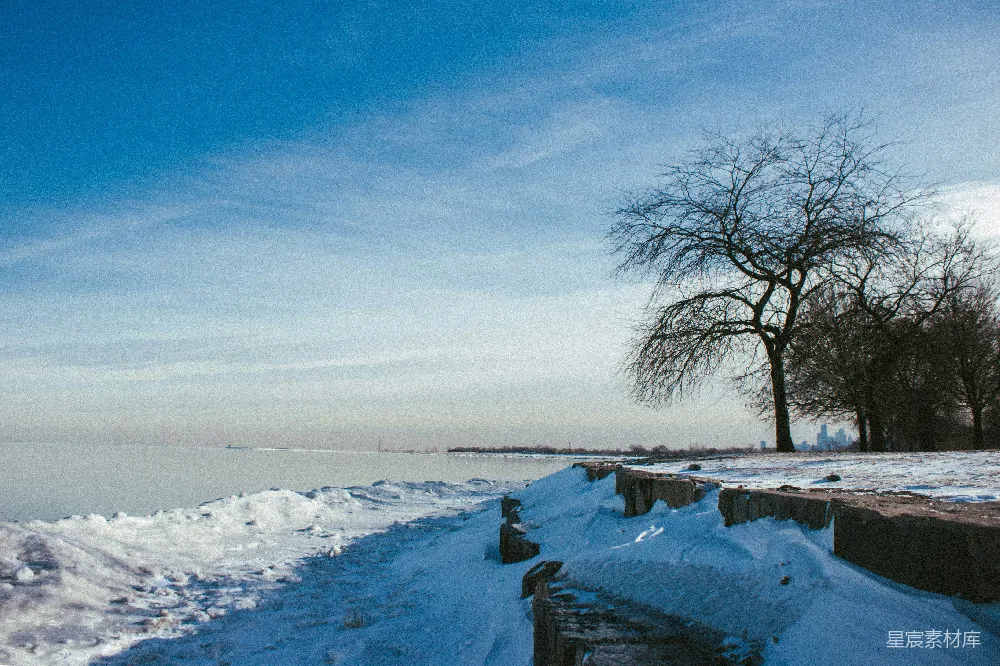高清摄影 冬日 湖畔 雪景 自然 静谧 冬日湖畔的静谧与孤独