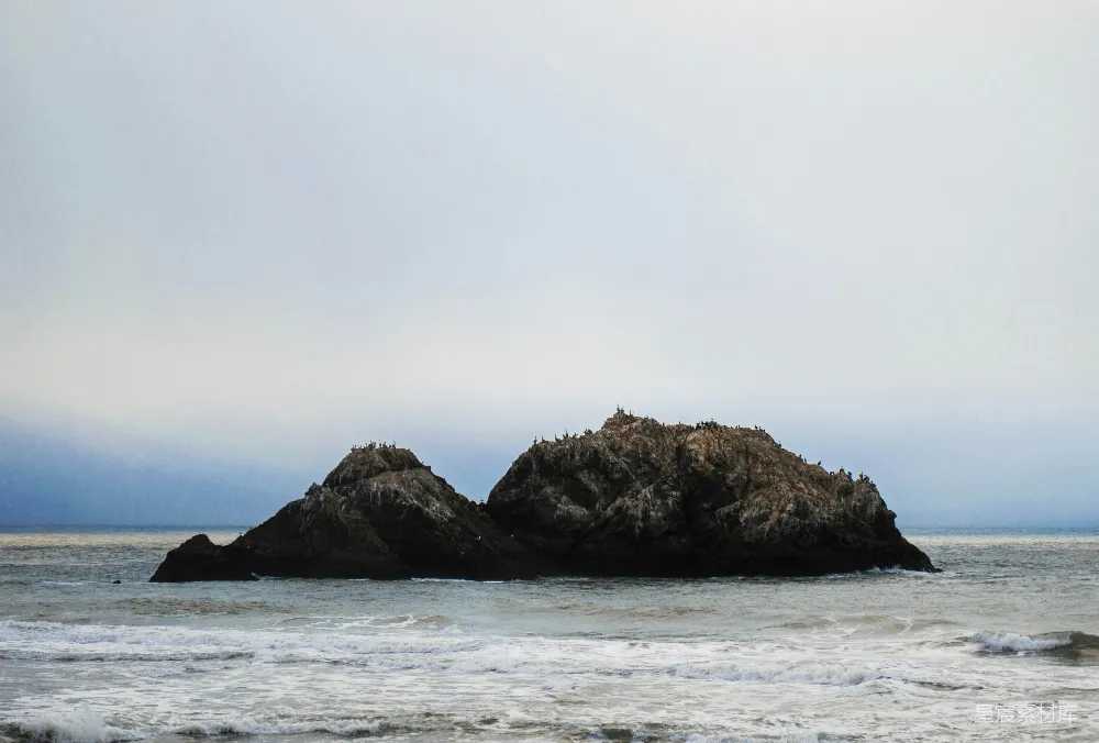 高清摄影 海滩 自然景观 鸟类 海岸线 宁静 海边的岩石与鸟群