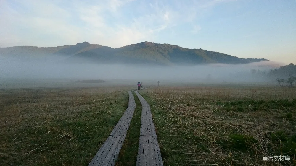 高清摄影 自然风光 徒步旅行 清晨 户外 宁静 雾中的木板小径