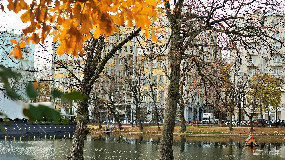 高清摄影 秋景 城市公园 静谧 自然风光 城市与自然 秋日湖畔静谧景色