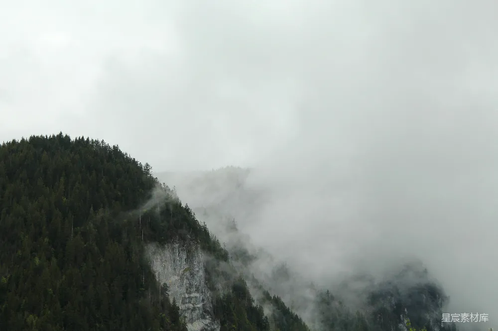 高清摄影 自然风光 森林 云雾 宁静 山景 雾中森林的宁静