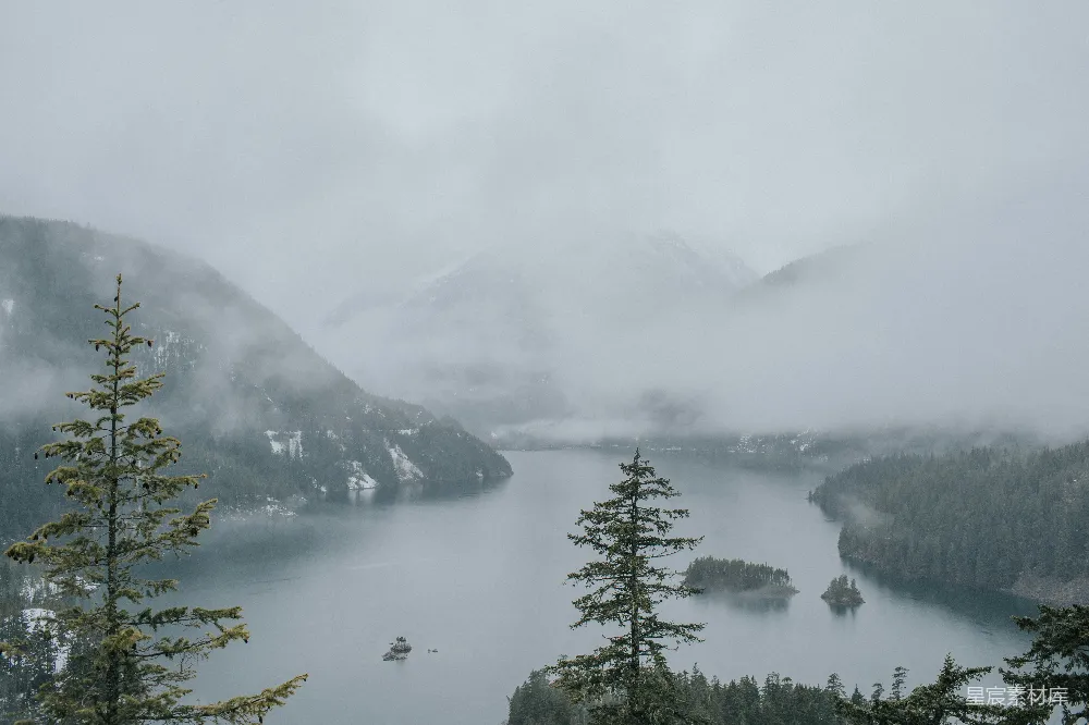 高清摄影 湖泊 雾气 森林 宁静 自然 雾中湖景