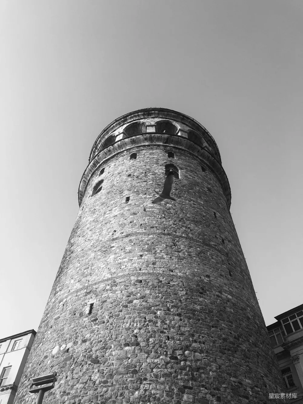 高清摄影 黑白摄影 历史建筑 鸟类 城市风光 经典 黑白老塔与飞鸟