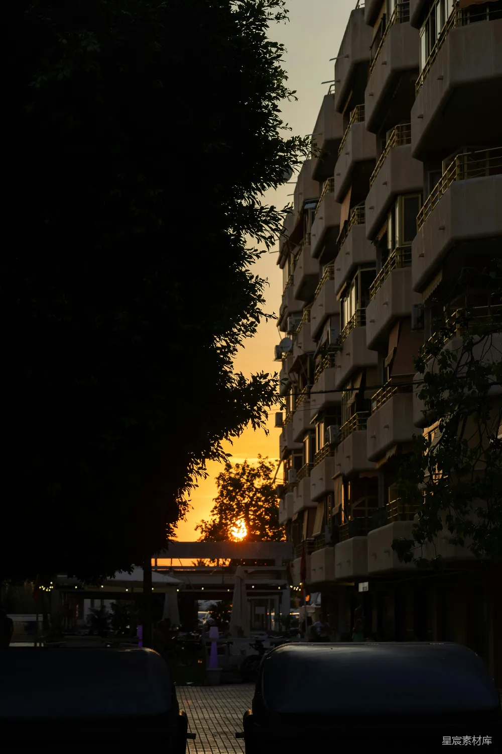 高清摄影  橙色的夕阳在黑暗的树与建筑之间若隐若现。
