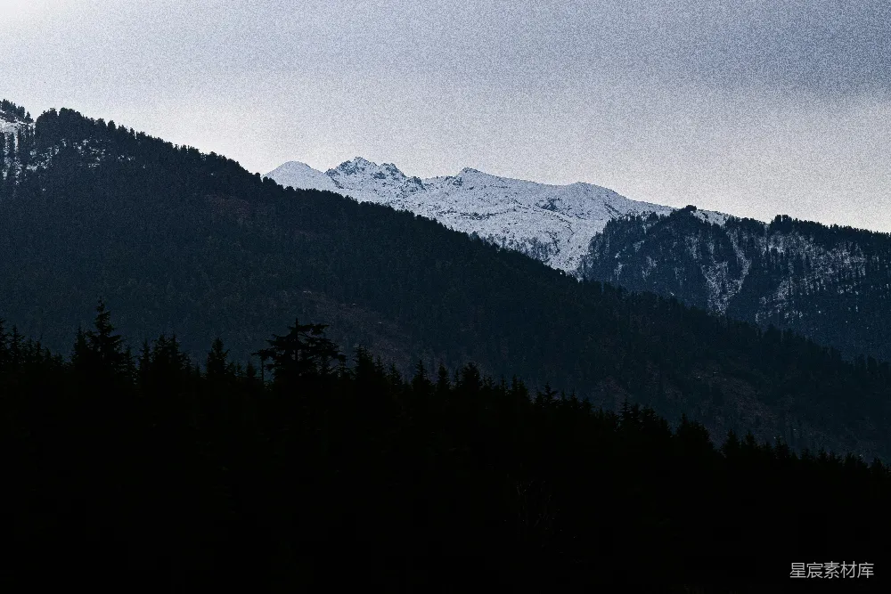 高清摄影 山脉 森林 冬季 自然风光 宁静 雪山与森林的轮廓