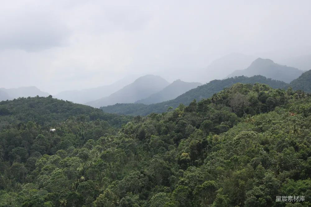 高清摄影 热带雨林 山脉 自然风光 生态旅游 户外探险 热带雨林中的山脉