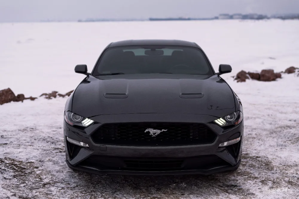 高清摄影 汽车 雪景 福特 Mustang 冬季 雪地中的福特Mustang