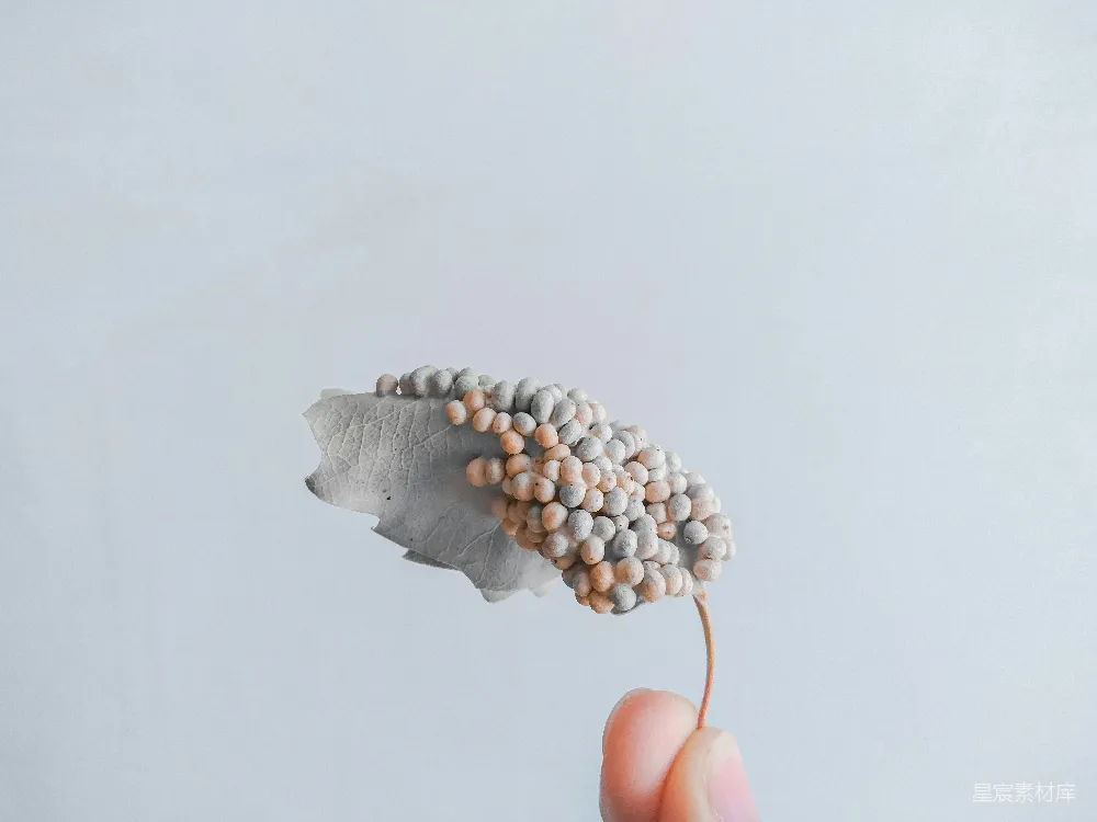 高清摄影 自然 手工艺术 创意 简洁 生活美学 手指上挂着的叶子与葡萄串