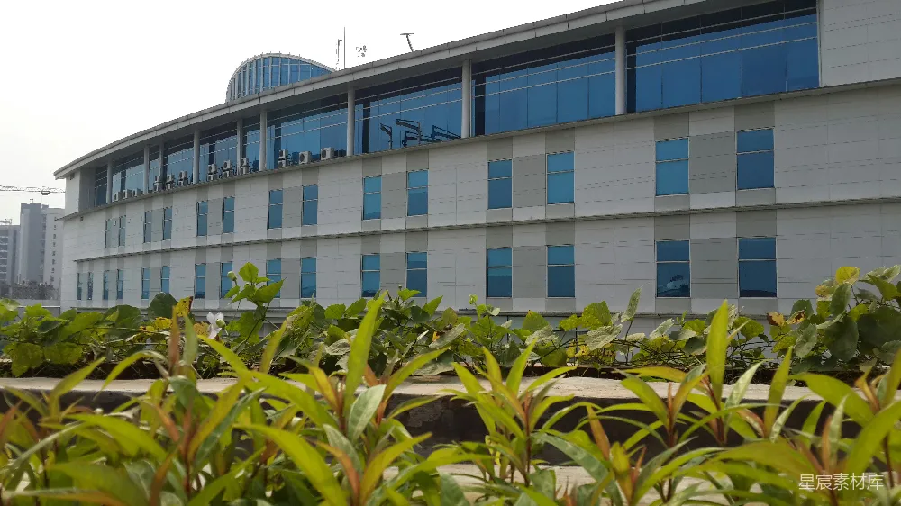 高清摄影 现代建筑 绿色植物 城市景观 建筑美学 都市绿化 现代建筑与绿色植物的和谐共处