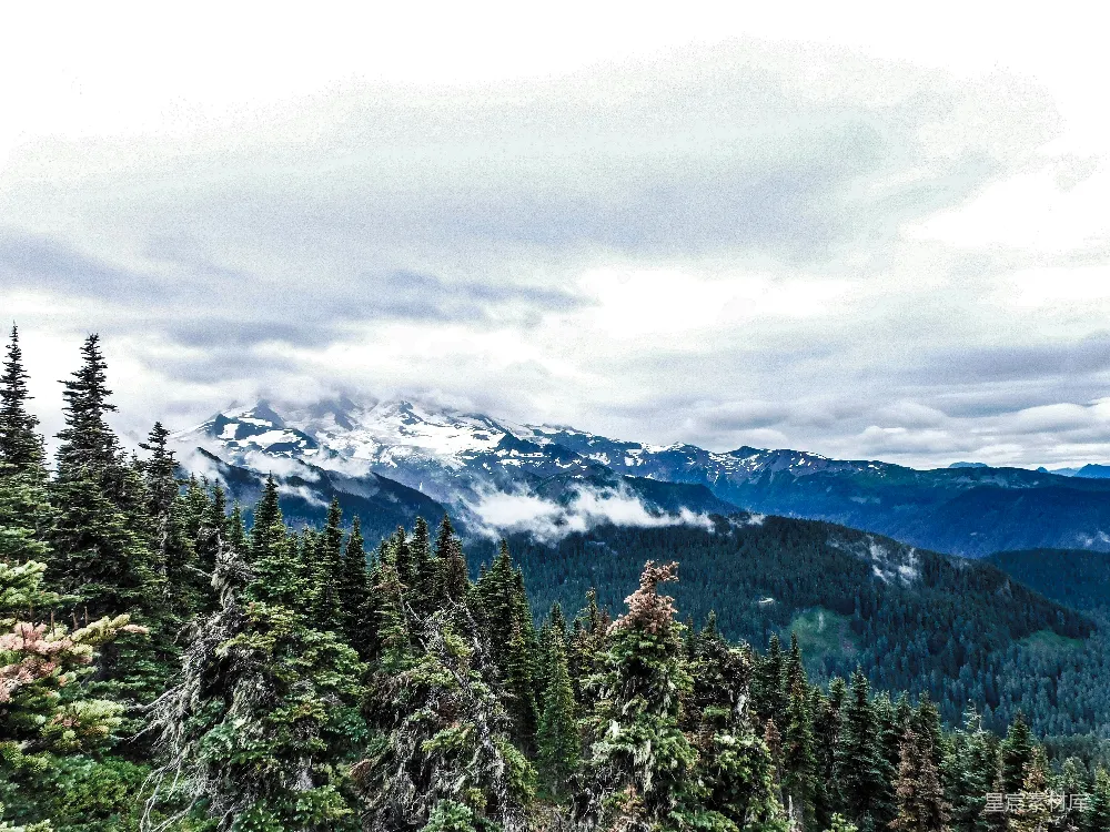 高清摄影 自然风光 山脉 森林 云雾 户外 云雾缭绕的雪山与森林