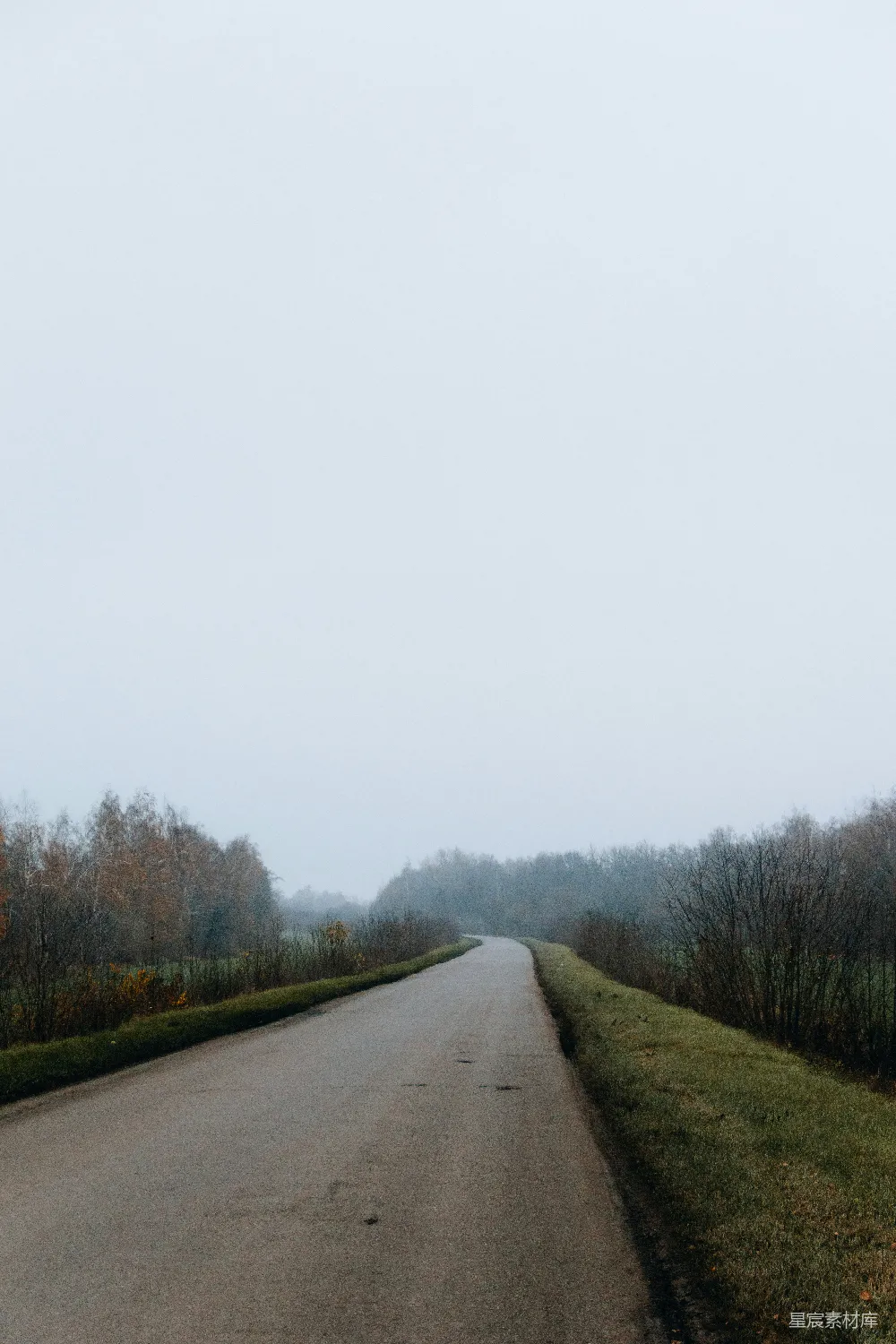 高清摄影 乡村道路 秋景 雾气 宁静 自然 秋雾中的乡间小路