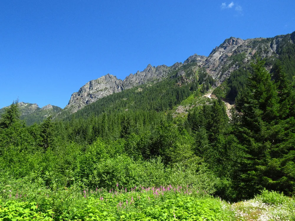 高清摄影 自然风光 山景 森林 户外 生态 山间绿意盎然的自然风光