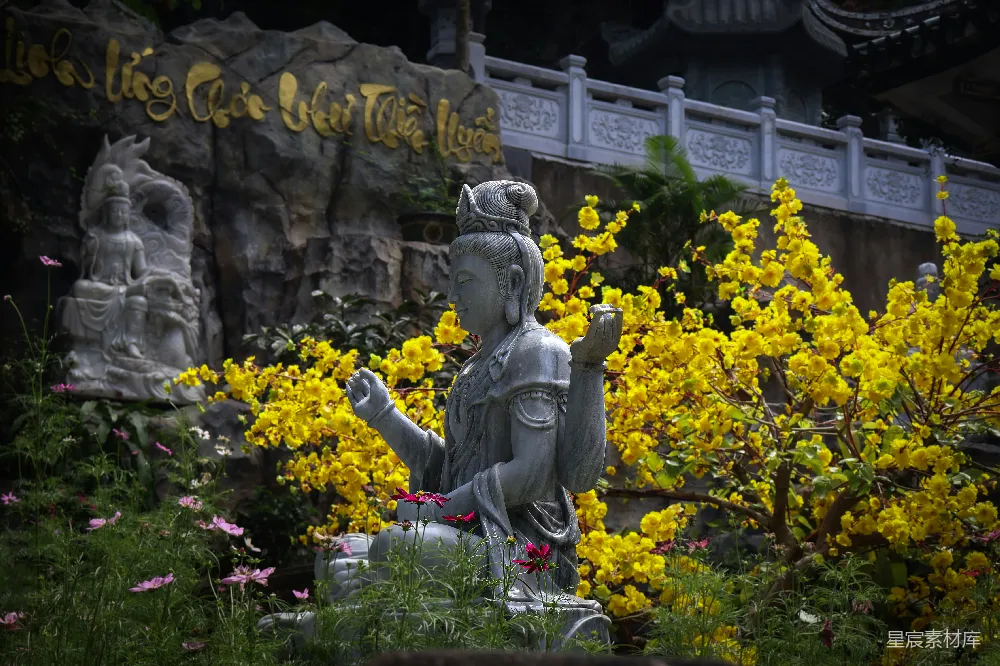 高清摄影 佛像 黄花 寺庙 宁静 自然 佛像与黄花的宁静景致