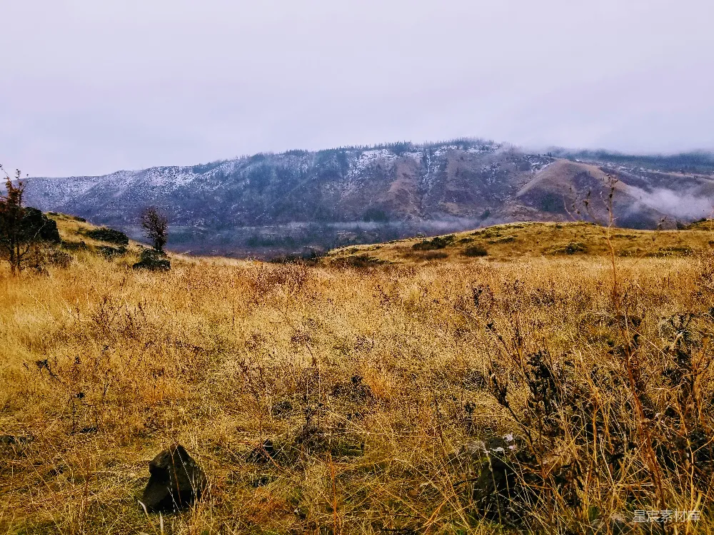 高清摄影 自然风光 秋季 山景 晨雾 宁静 秋日山野晨雾