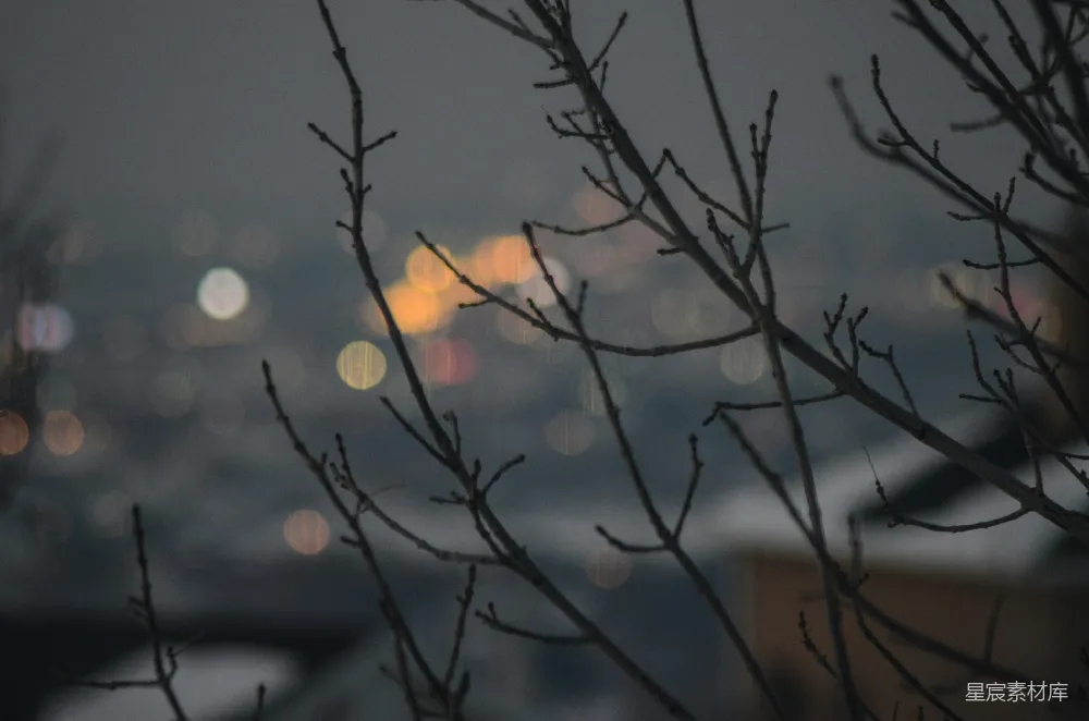 高清摄影 城市夜景 梦幻光斑 枯枝 都市风景 夜晚 城市夜景与枯枝的梦幻碰撞