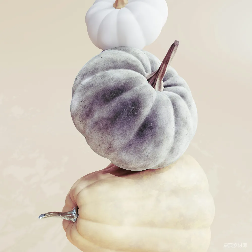 高清摄影 南瓜 秋季 秋季装饰 节日装饰 静物摄影 紫色南瓜与白色南瓜